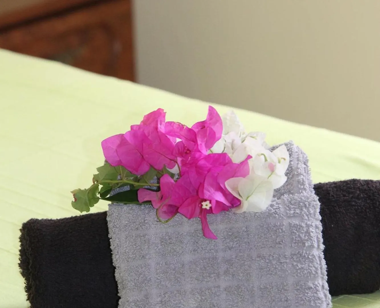 Cas Iguana - Curacao - Villapark Fontein - Ferienhaus Mit Pool Holiday home